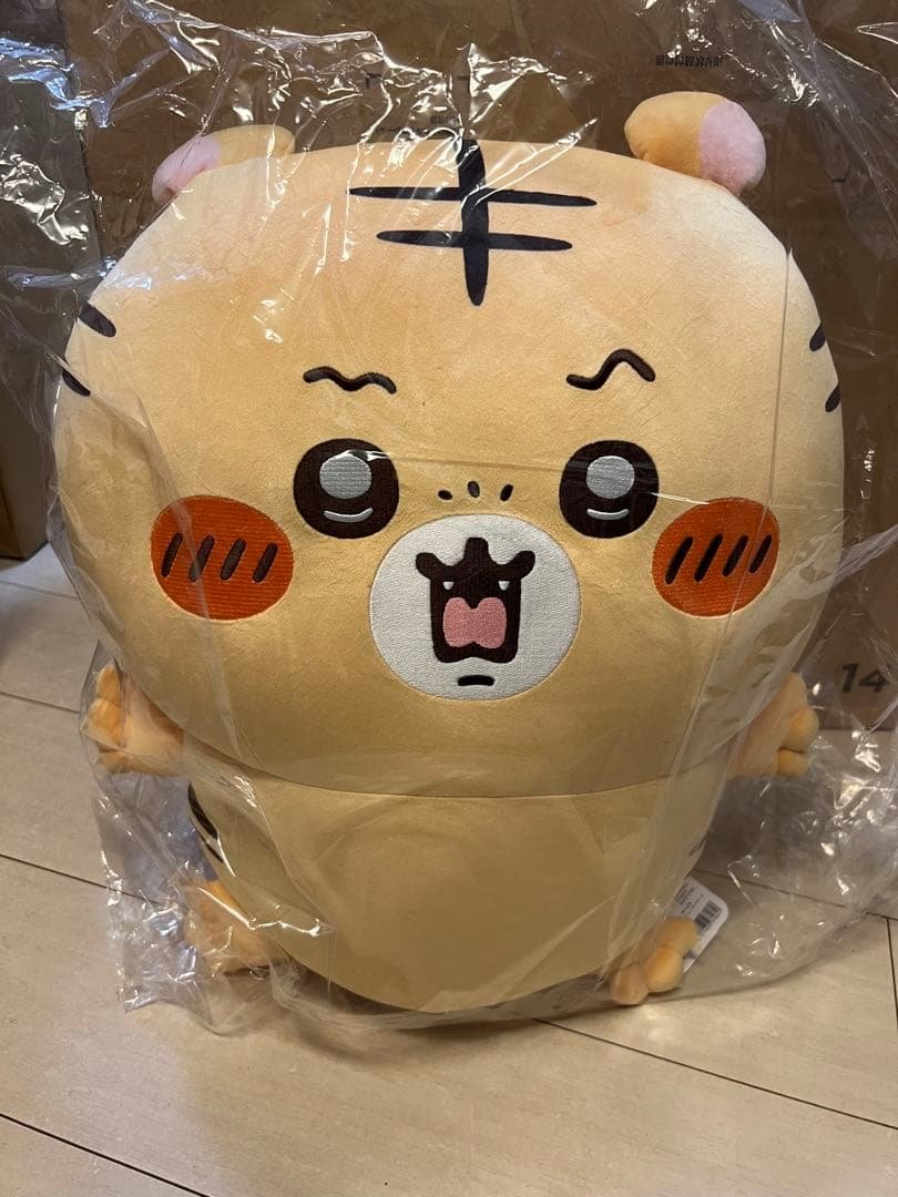 ナガノの虎　A賞