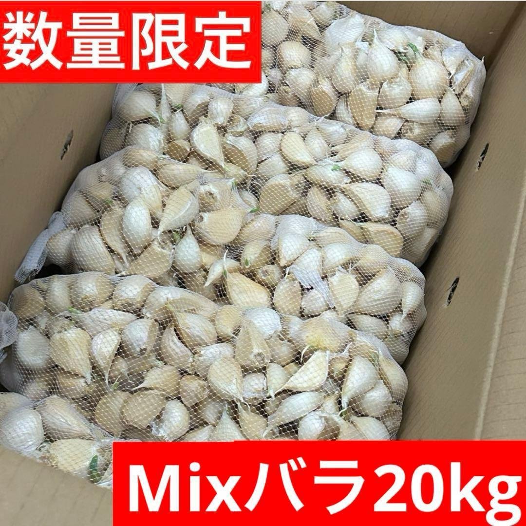 【数量限定】訳あり 青森県バラにんにく 20kg 福地ホワイト 芽あり